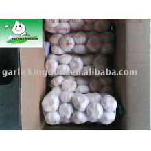 Pure white garlic/White garlic China/Garlic supplier